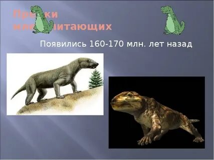Предками современных млекопитающих являются