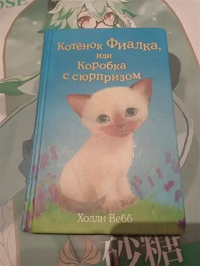 Котенок фиалка или коробка с сюрпризом. Котенок фиалка или коробка с сюрпризом