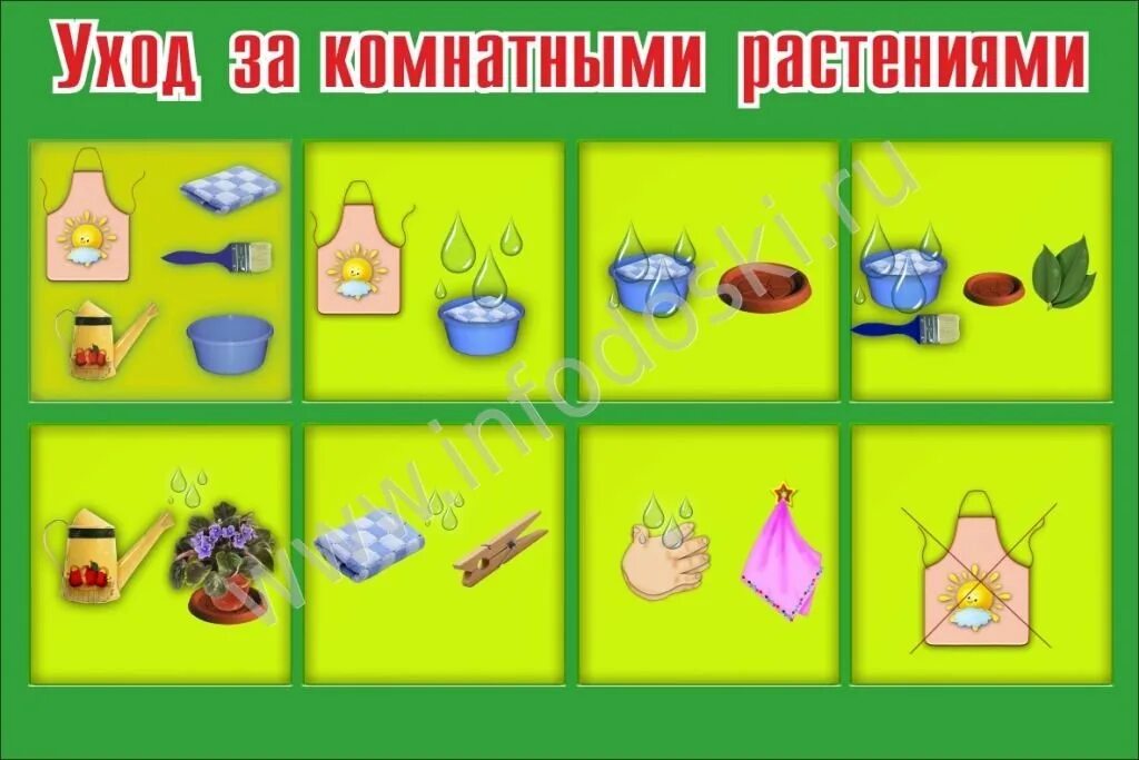 Алгоритм дежурства в природном уголке. Алгоритм дежурства в уголке природы. Алгоритм дежурства в детском саду. Алгоритм дежурства на занятии. Уход за растениями в старшей группе