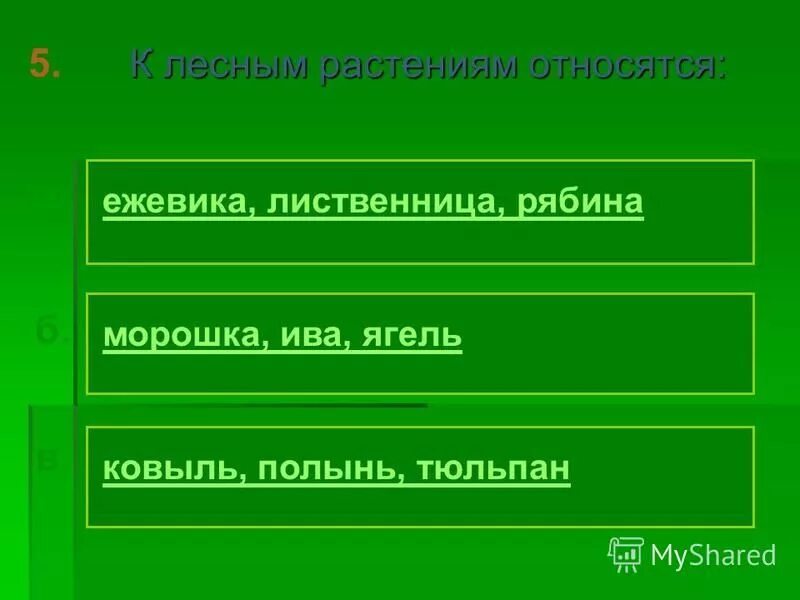 природные зоны тест. тест по лесной зоне 4 класс. тест по окружающему миру на тему зона лесов 4 класс. тест по теме лесная зона. лесные зоны тест.