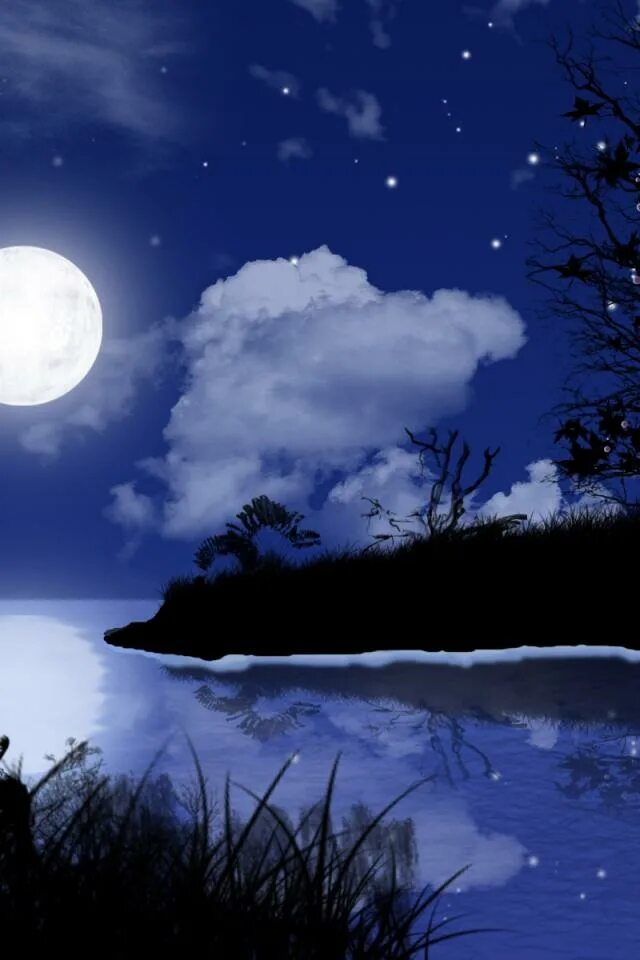 Луна светит сама. Лунная ночь. Светлая ночь. Ночь Луна. Луна светит.