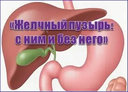 Без желчного пузыря последствия
