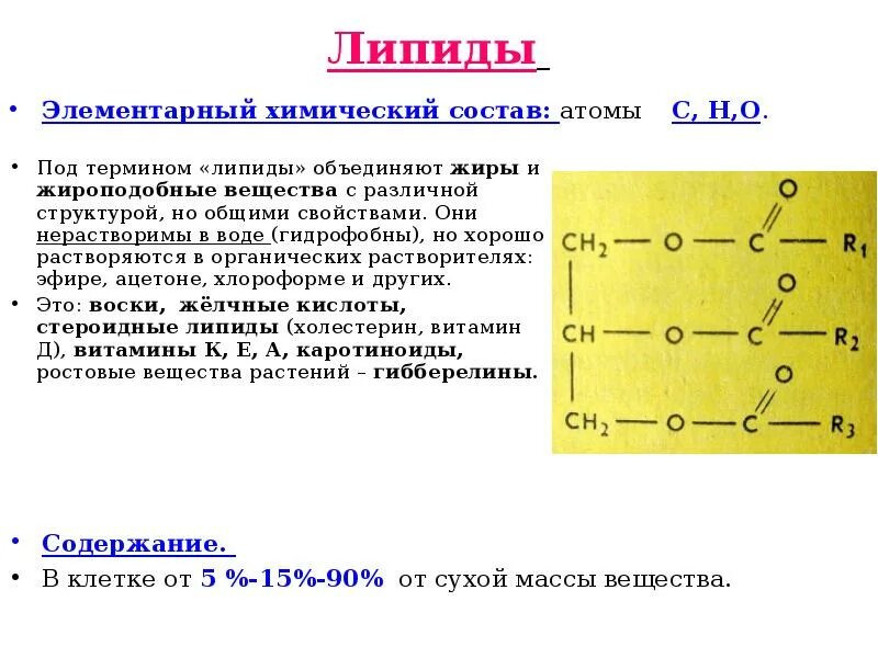 Жиры элементарный состав. Строение липидов. Структура простых липидов. Роль структурных липидов.