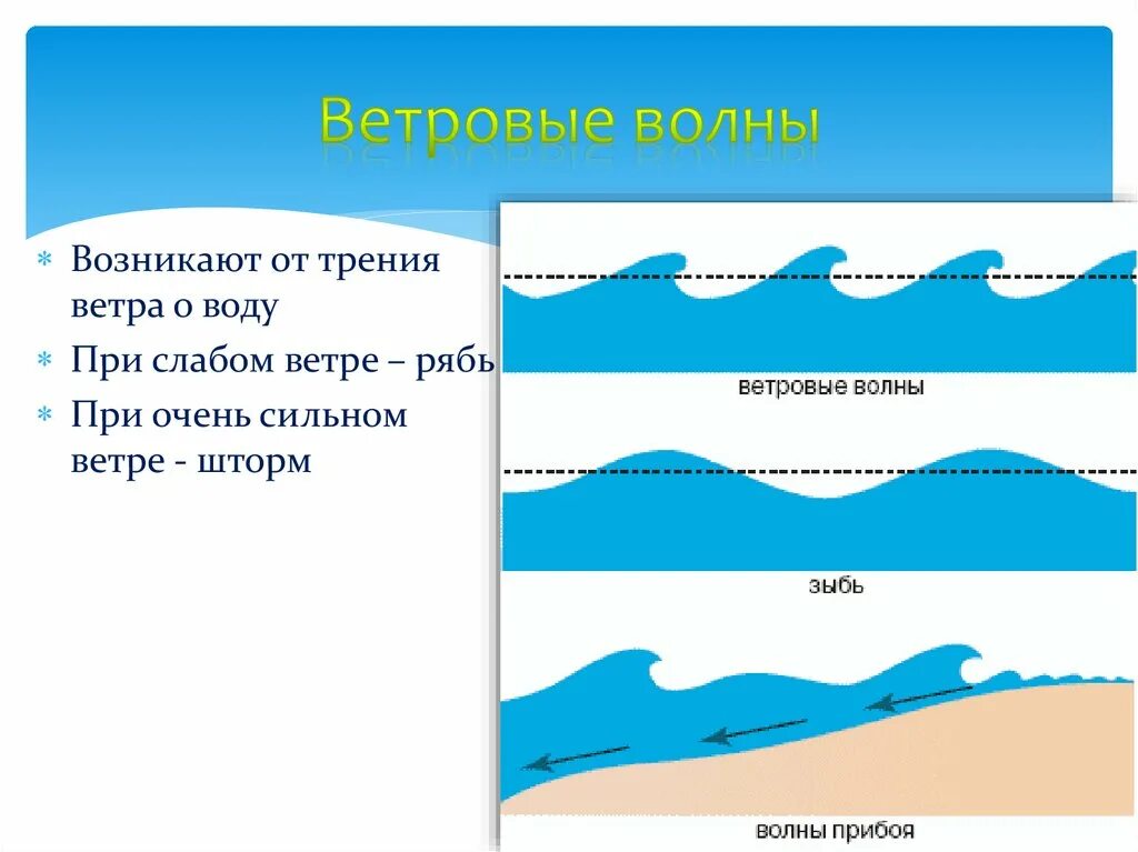 Движение волн. Ветровые волны. Возникновение ветровых волн. Элементы ветровых волн. Строение ветровой волны.