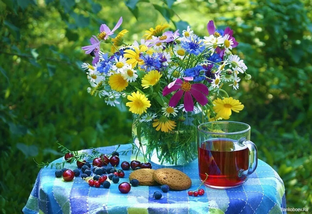 Утро летнего дня. Марина Филатова фотохудожник. Летнее утро. Летнее настроение. Красивые утренние полевые цветы.