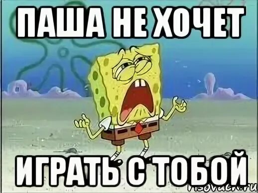 Хочу пашу
