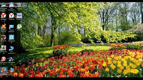Spring is beautiful