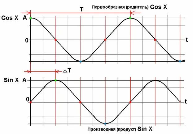 График функции косинус. График функции косинус
