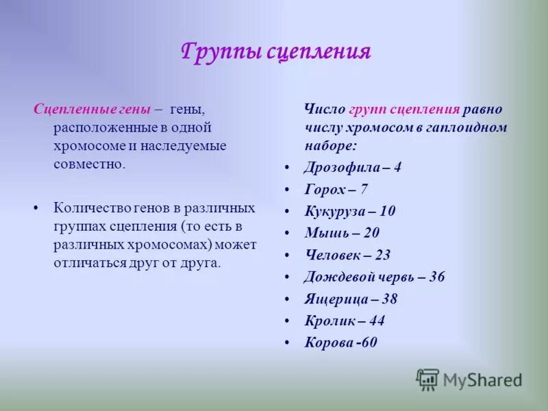 тесно сцепленные гены у человека. сцепление генов. сцепленное наследование генов полное и неполное сцепление. тесно сцепленные гены у человека. наследование признаков у человека.