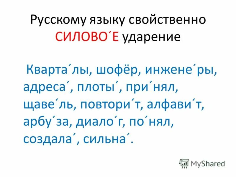 Правильно ударение шофер. Шофер ударение. плот плоты ударение. машина ударение. машинка ударение и слоги.