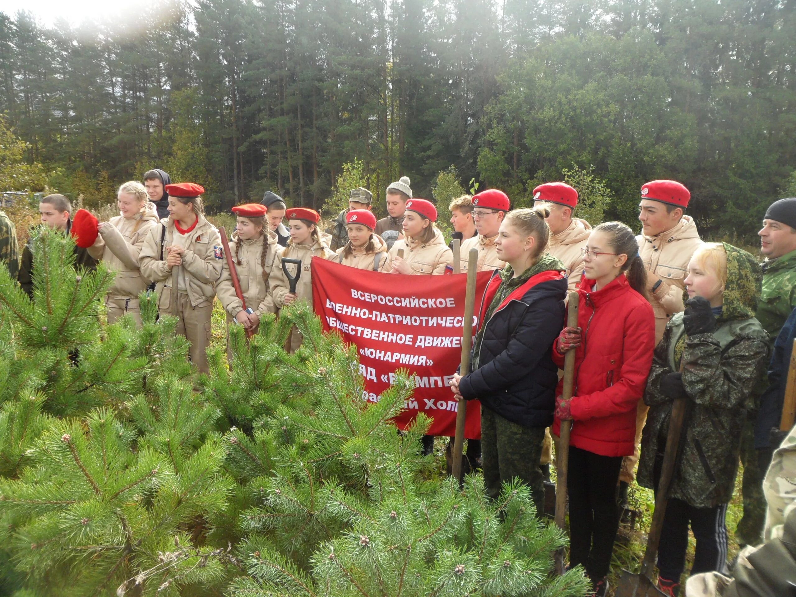 Государственное казенное учреждение тверской области. ГКУ Тверское лесничество Тверской. Осташковский лесхоз Тверской области. Лесной район Тверской области. Лесное (Тверская область).