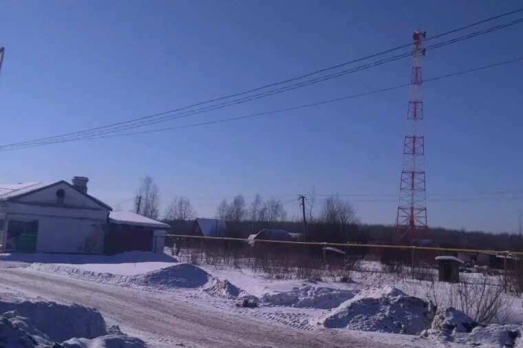 Погода чудово на 10 дней новгородской области. Деревня Трегубово Чудовский район. Деревня Трегубово Ленинградской области. Корпово Окуловский район. Деревня Корпово Чудовского района.