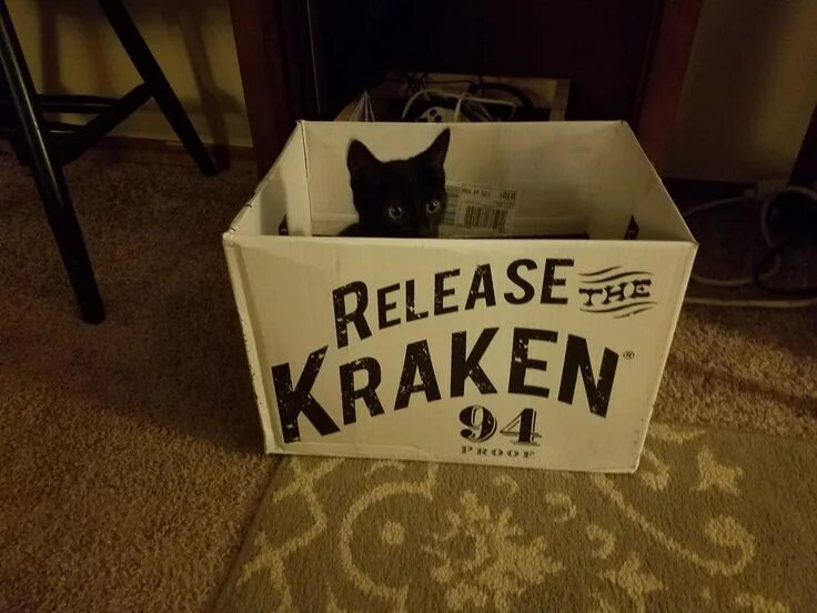 Release the kraken. Release the Kraken смешно. День любителей сыра коты. Подари себя прикольные картинки. Сниму аренда смешные коты.