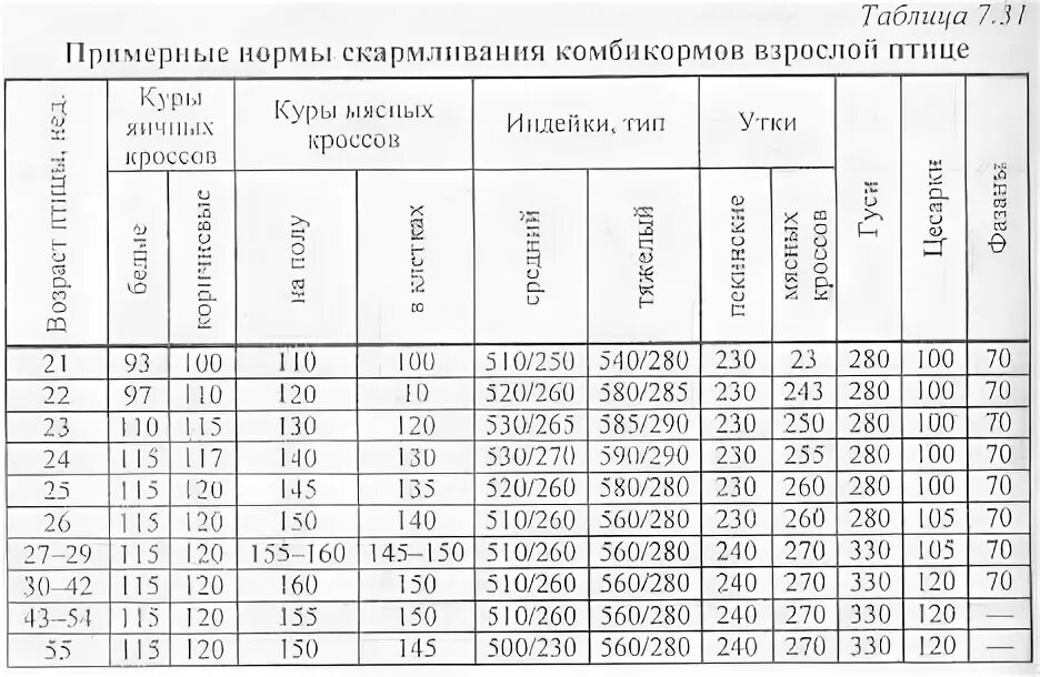 Норма кормления кур. Нормы расхода корма для кур несушек. Схема кормления кур несушек. Нормы и рационы кормления кур. Таблица кормления кур несушек.