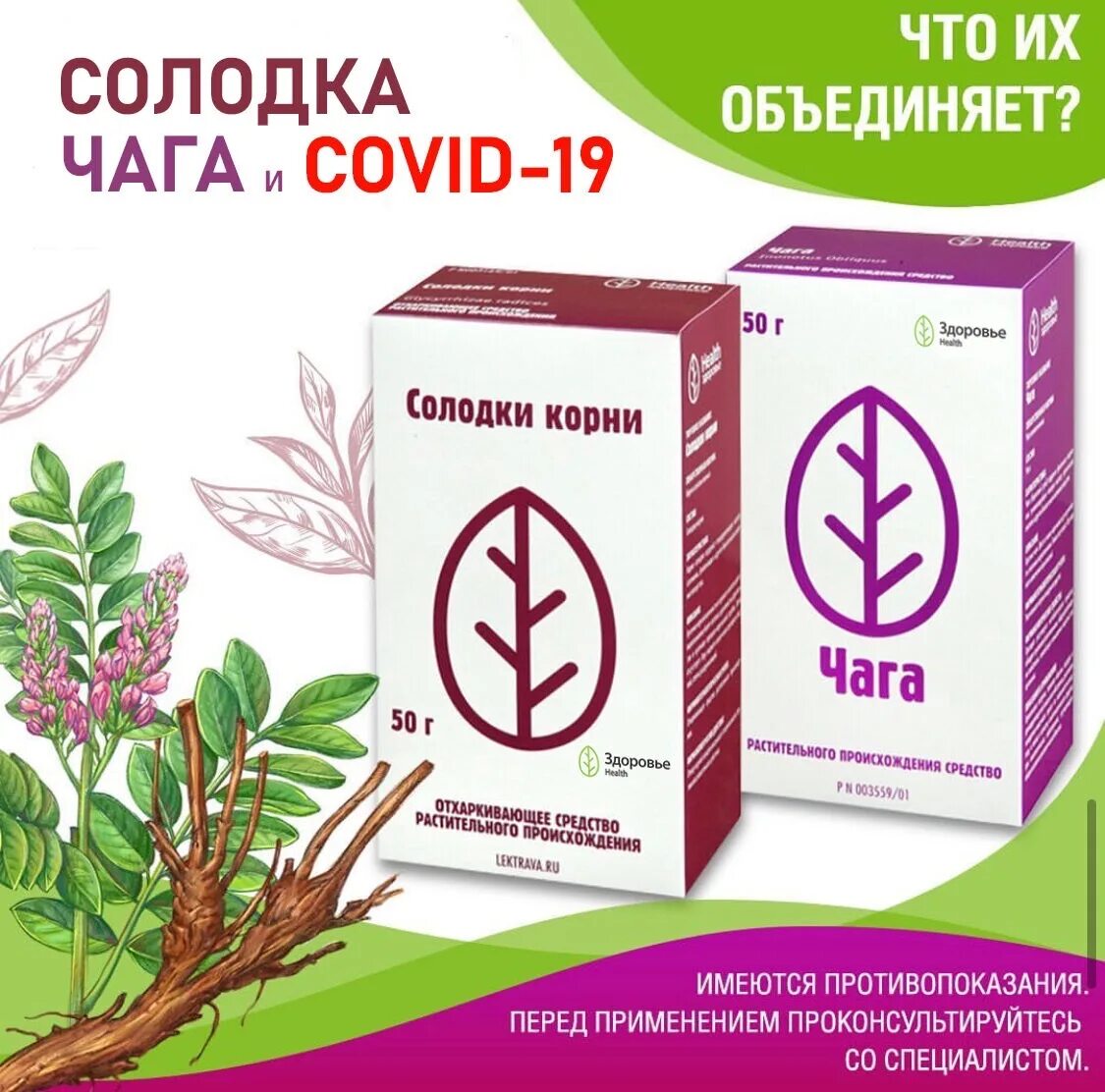 Очистка солодкой. Экстракт корня солодки. Корень солодки для лимфодренажа. Корень солодки польза. Корень солодки в каких лекарствах содержится.