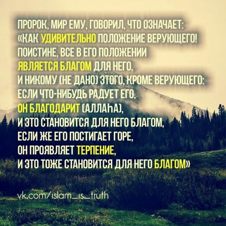 Сколь удивительно положение верующего. Хадисы о дружбе о друзьях. Хадис не уверует. А. Про бумеранг цитаты со смыслом в исламе.