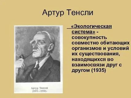 Экосистема ученые