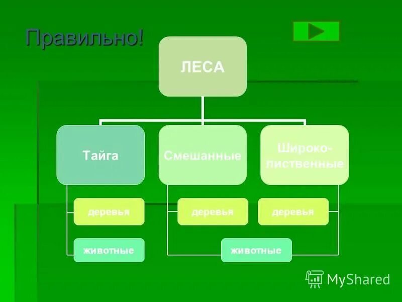 Окружающий мир 4 класс тест леса россии