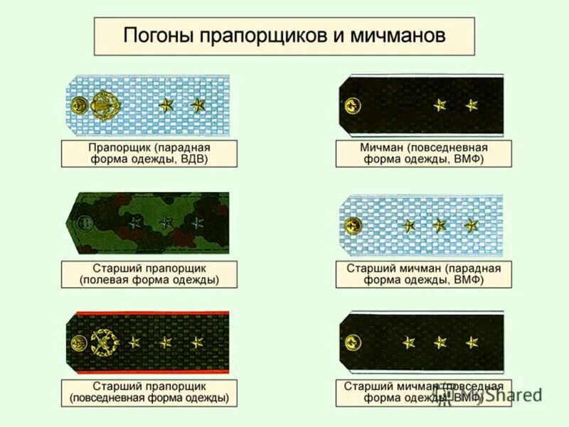расположение звёзд на погонах прапорщика фсб. погоны фсин лейтенант расположение звезд. звездочки прапорщика расстояние. погоны прапорщика российской армии полевая форма. погоны фсин расположение звезд младший лейтенант.