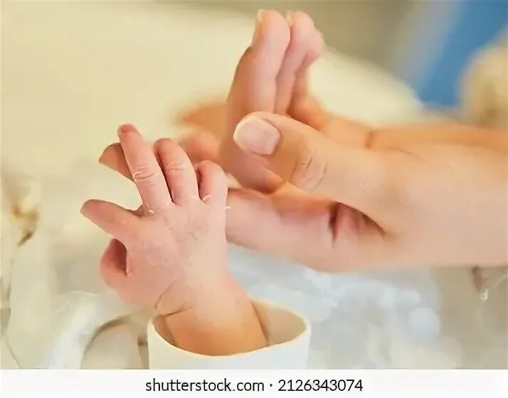 The small hands