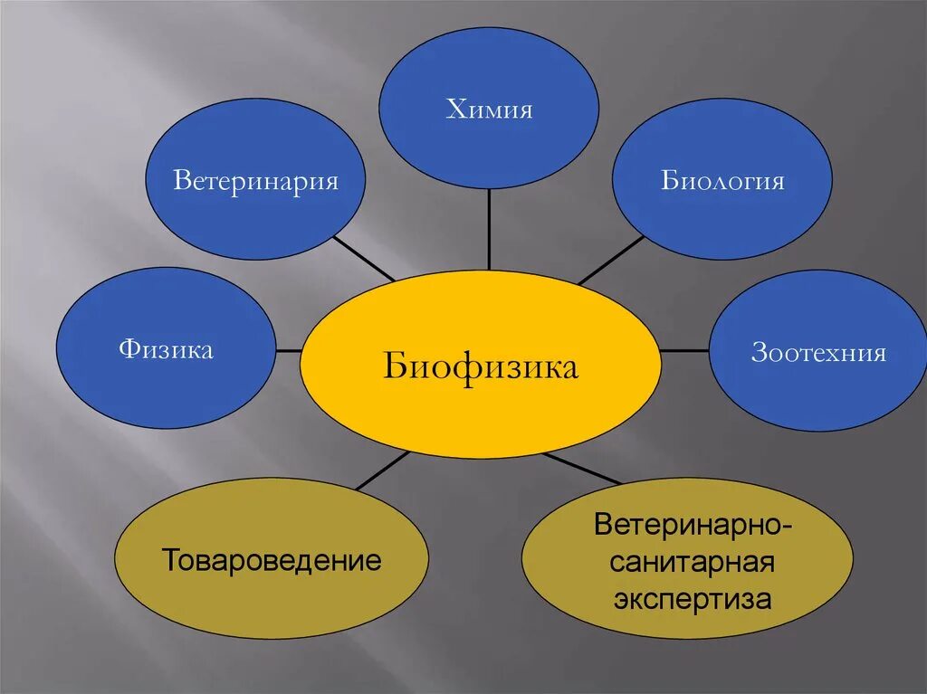 Биофизика. Связь биофизики с другими науками. Биофизика презентация.