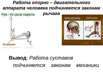 Не подчиняется законам физики