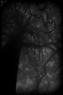 Gray fallen