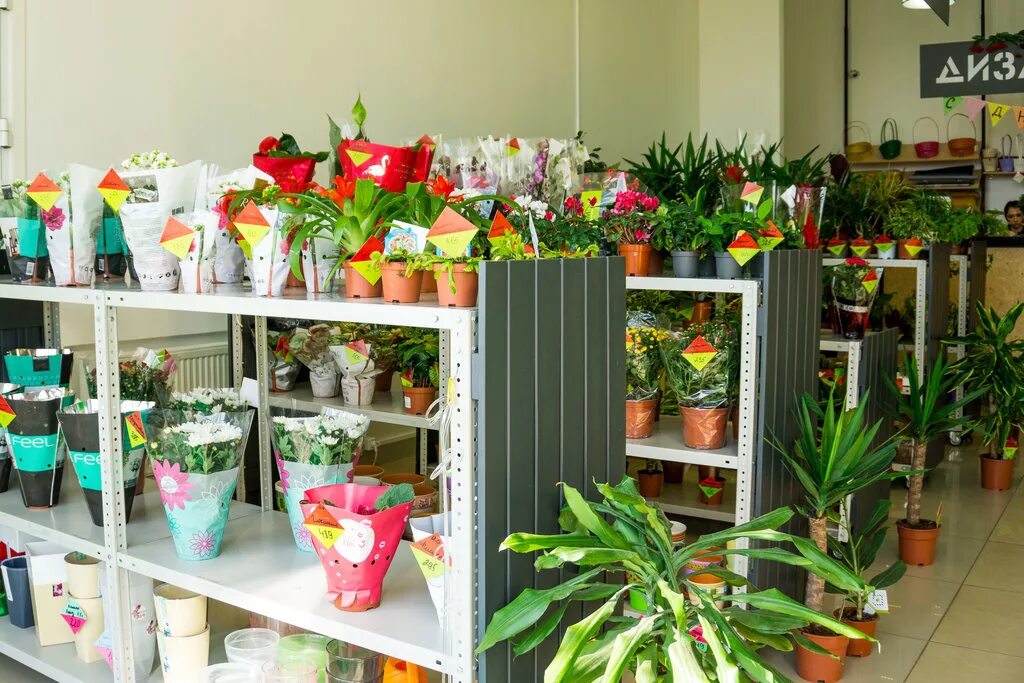 липецк магазин цветторг 48. магазин цветов липецк. цветы липецке адреса. роза гамма фил флауэрс. цветы липецке адреса.