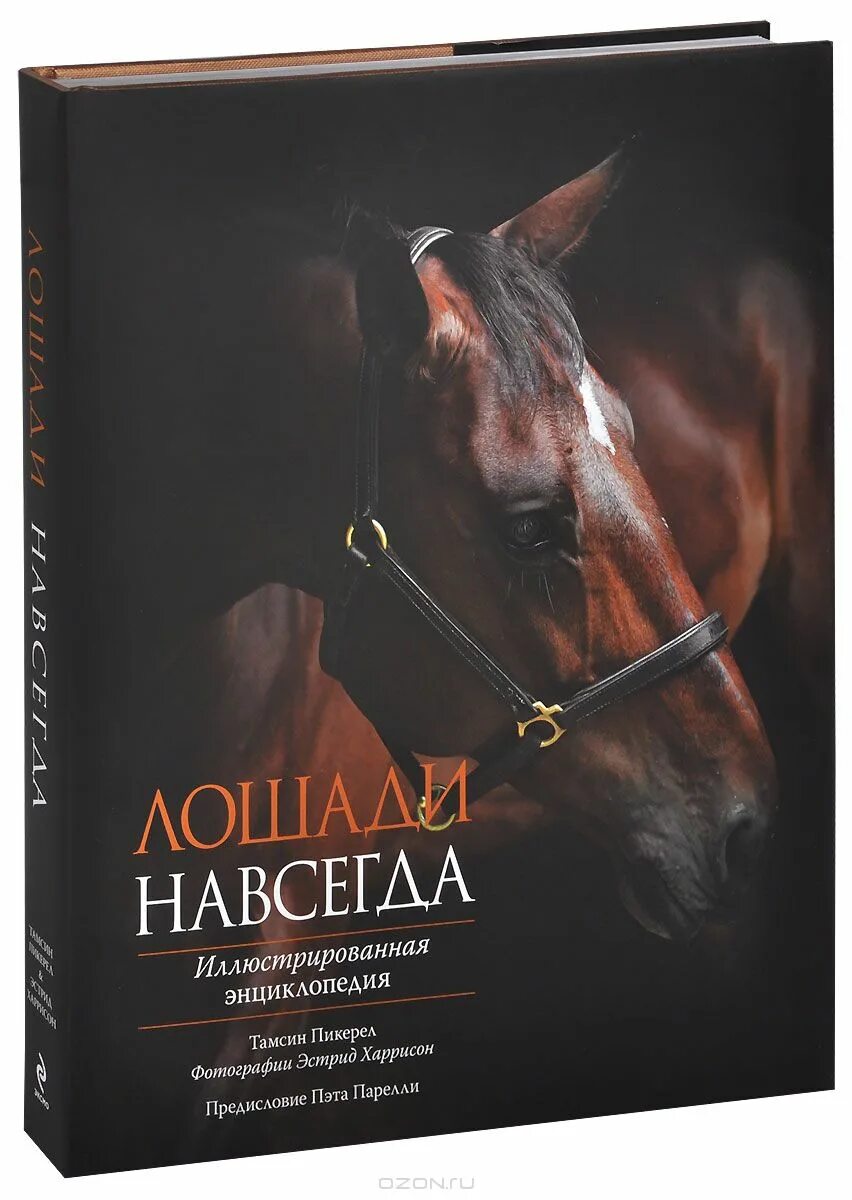 книги про лошадей. обращение с жеребцами ангелика шмельцер. большая энциклопедия книга. книги о лошадях для детей. издания подарочные о лошадях.
