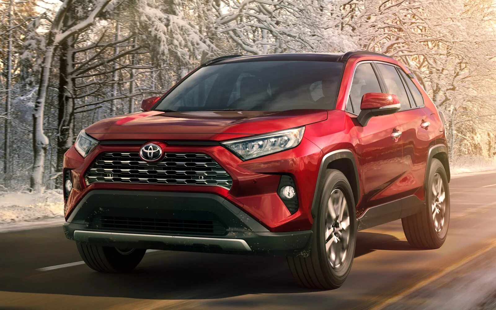 Новый рав 4 2024 цена. Toyota rav4 2019. Тойота рав 4 новая. Тойота рав 4 2019. Toyota rav4 2022.