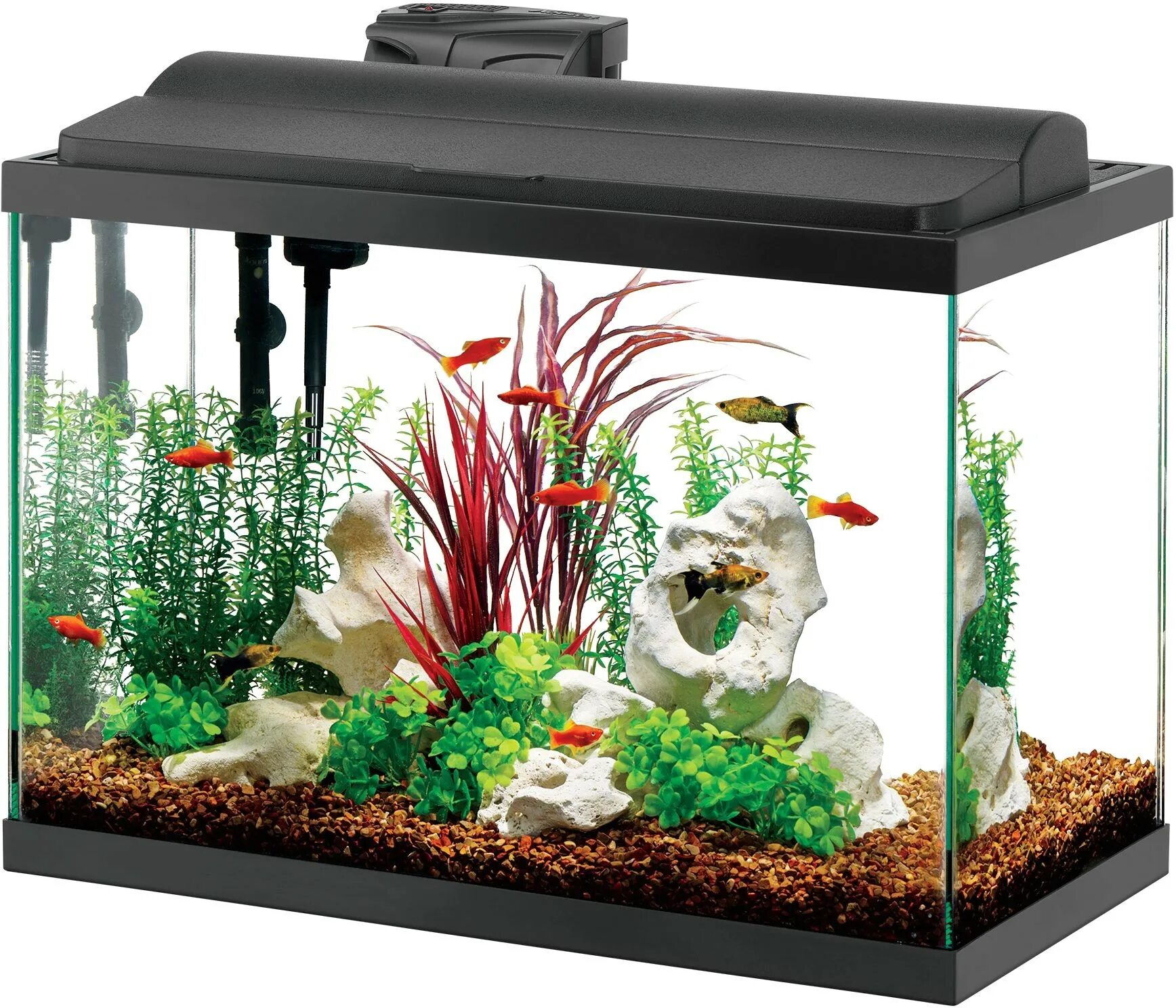 Аквариум (Fish Tank) 2009. Аквариум 9 л. Аквариум напольный. Открытые аквариумы. Детский аквариум купить