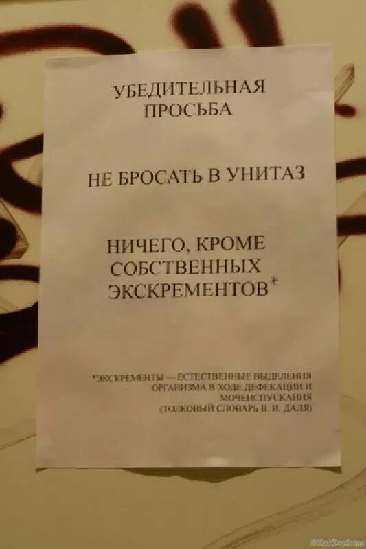 Объявление в туалет. Прикольные объявления в туалете. Смешные объявления в туалете. Шуточные объявления в туалете.