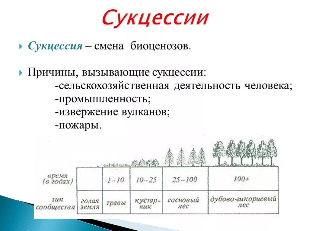 Причины смены биоценоза. Схема вторичной экологической сукцессии. Сукцессии первичные и вторичные таблица. Экологическая сукцессия первичная и вторичная. Первичная сукцессия и вторичная сукцессия таблица.