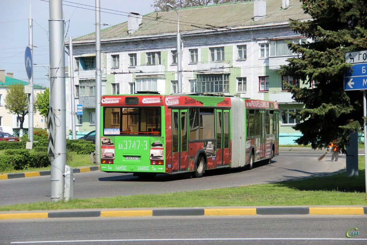 Автобус МАЗ 105 465. МАЗ 105 465 Гомель. Автобус МАЗ 105 465 Гомель. Гомель общественный транспорт. Автобус 3 гомель