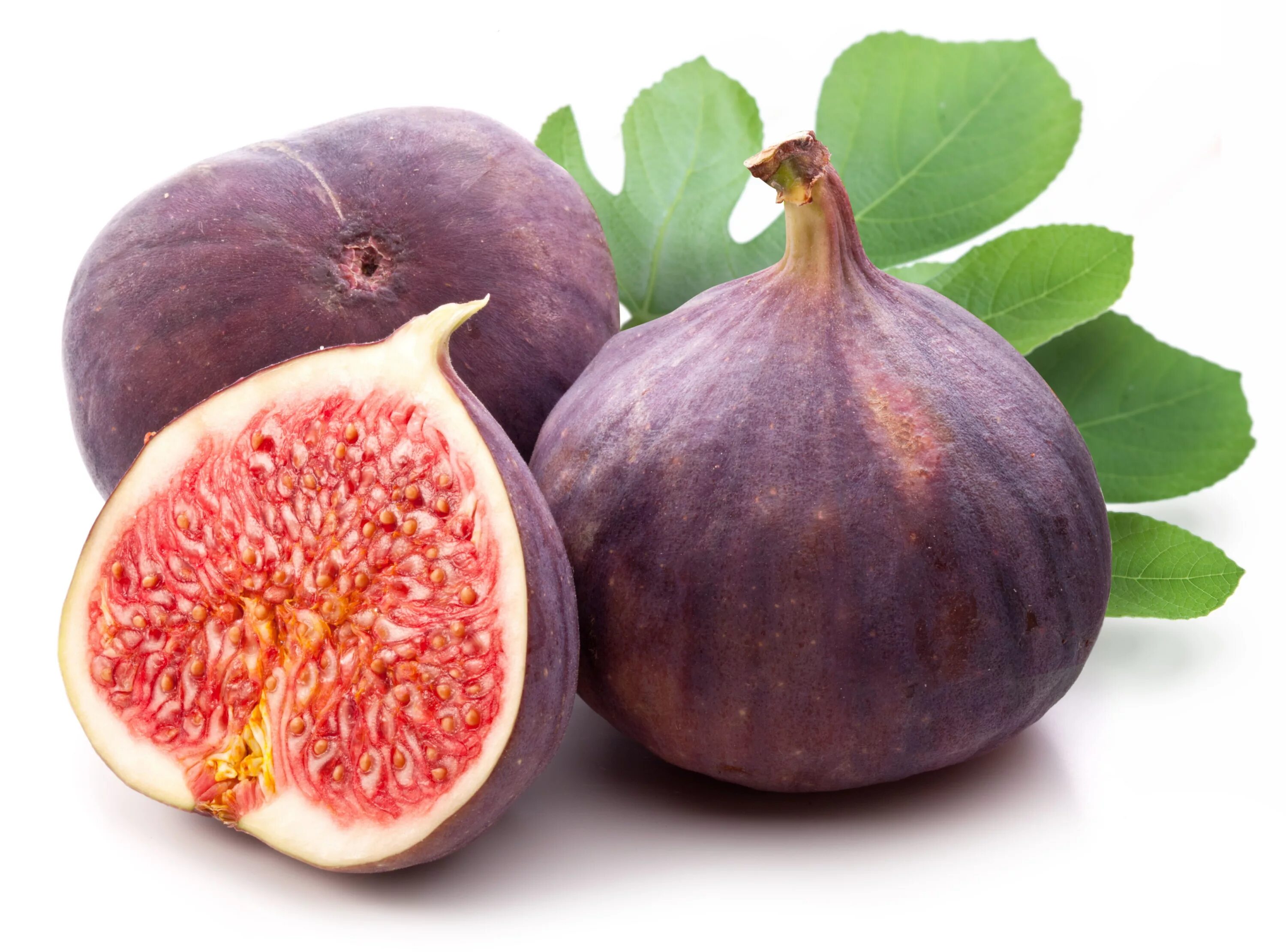 Fig update