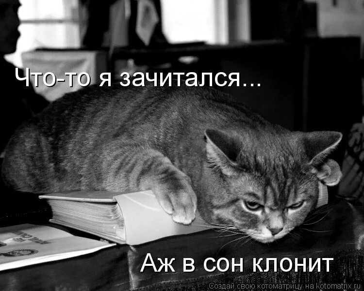 Не отдам что грозит. Никому не отдам. Мое не отдам. Моя никому не отдам. Все мое никому не отдам.