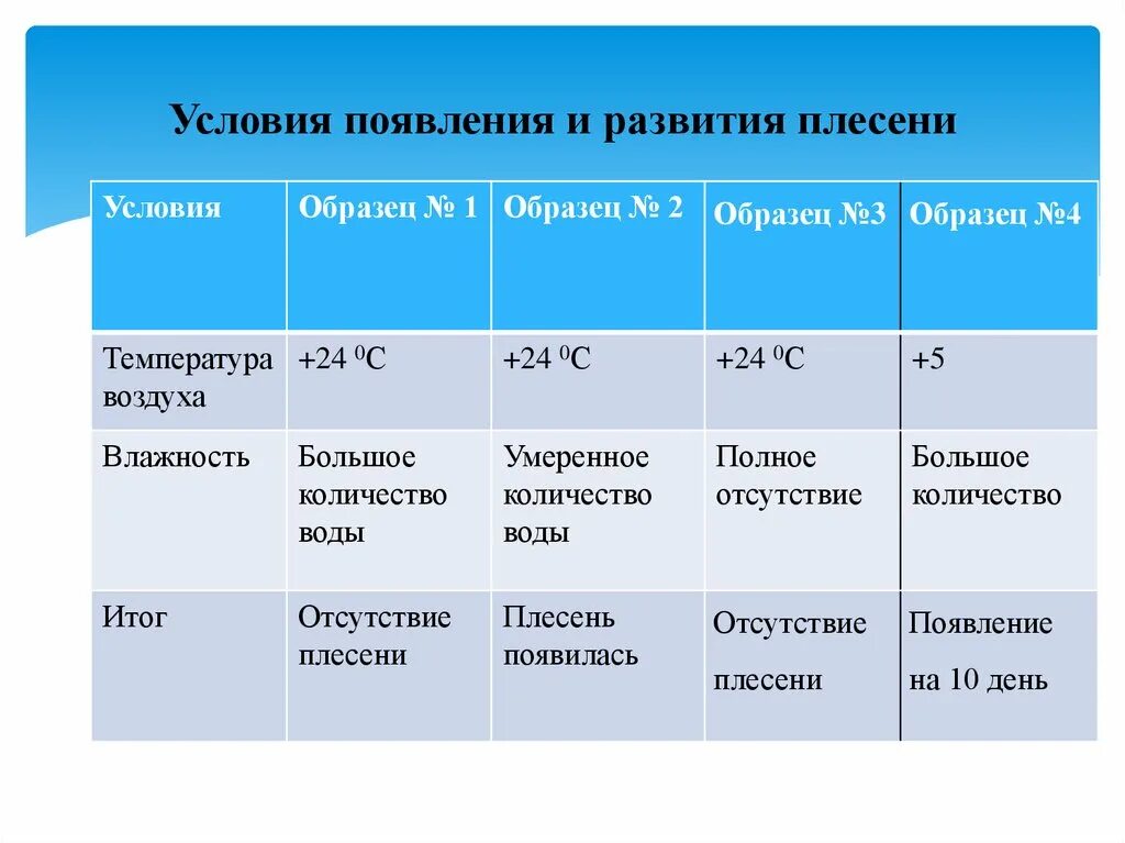 Какая температура в белой. Условия появления и развития плесени. Оптимальная температура для развития плесени. Условия возникновения плесени. Температура образования плесени.