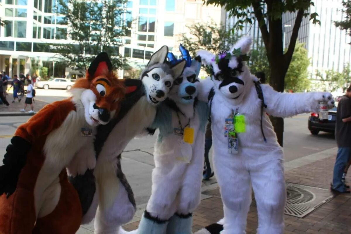 Субкультура фурри. Фурри субкультура. фурри фестиваль. anthrocon. фурри-конвент.