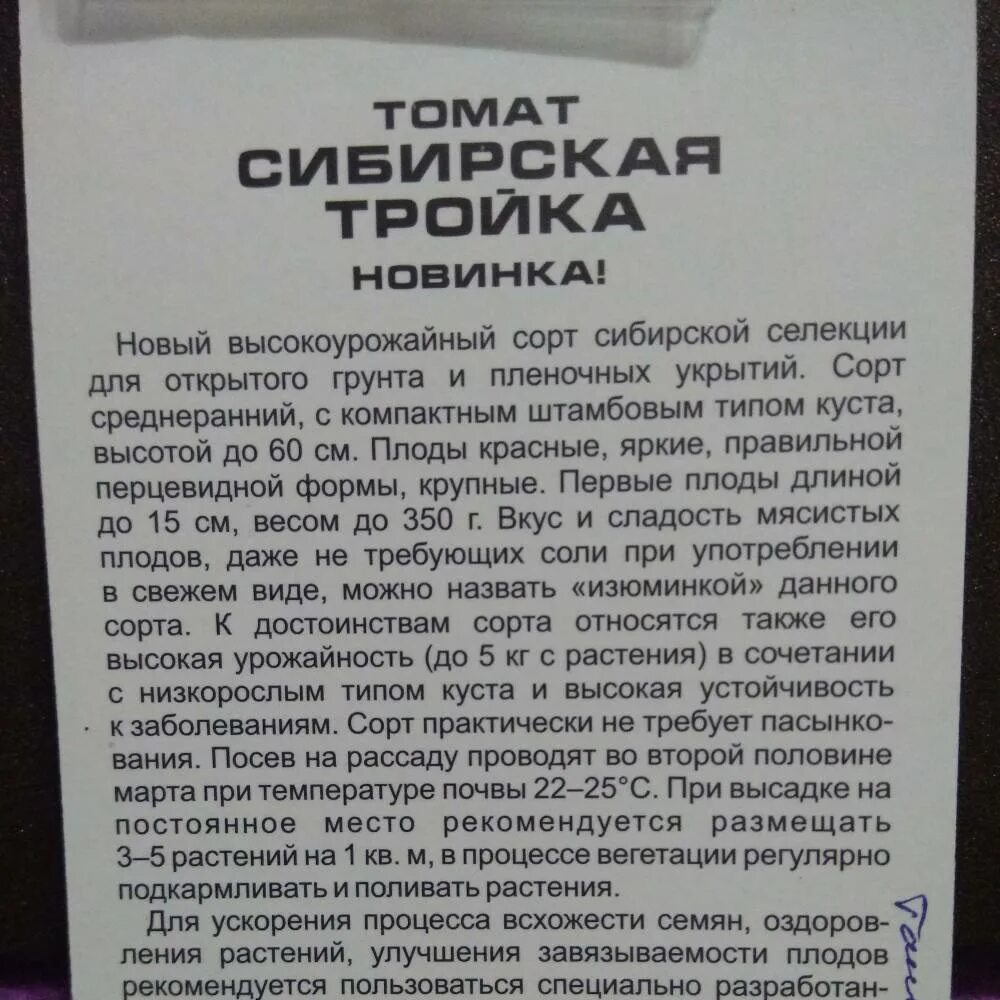 Урожайность сибирской тройки. Томат открытого грунта Сибирская тройка. Сорт томата Сибирская тройка. Томат Сибирская тройка характеристика. Томаты Петруша огородник и Сибирская тройка.