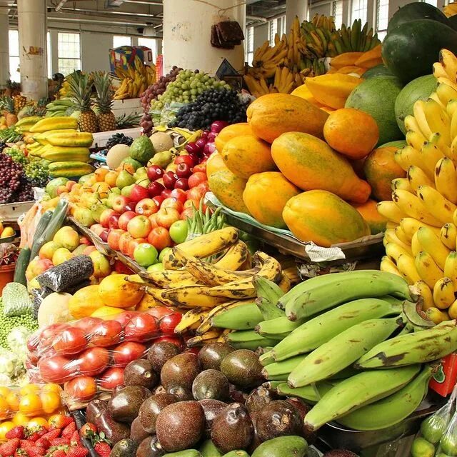 Dark Markets Ecuador