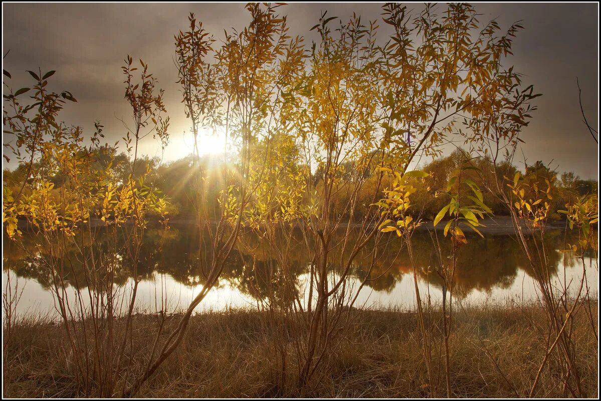 Иван бунин шумели листья облетая. Бабье лето осенний. Как лето так бабье как холод. Как лето так бабье как холод. Зеркало indian summer.