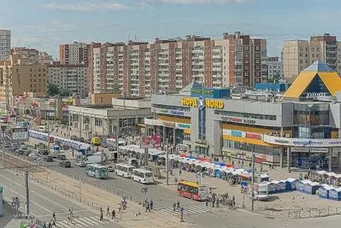 Проспект просвещения санкт петербург отзывы