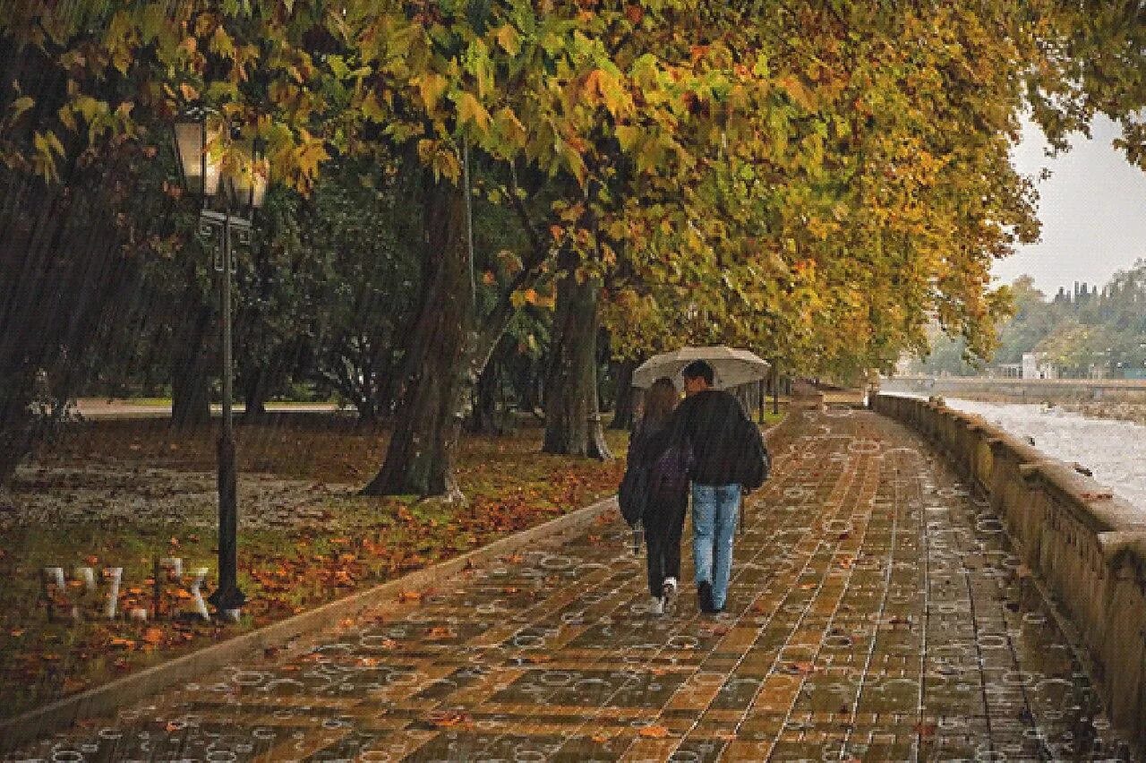 Замечательная прогулка. Осень в городе. Прогулка в осеннем парке. Дождливая осень. Осенний дождь в городе.