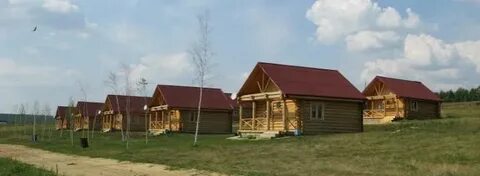 Золотой карп воронежская область