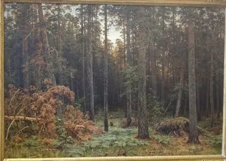 Описание пейзажа леса