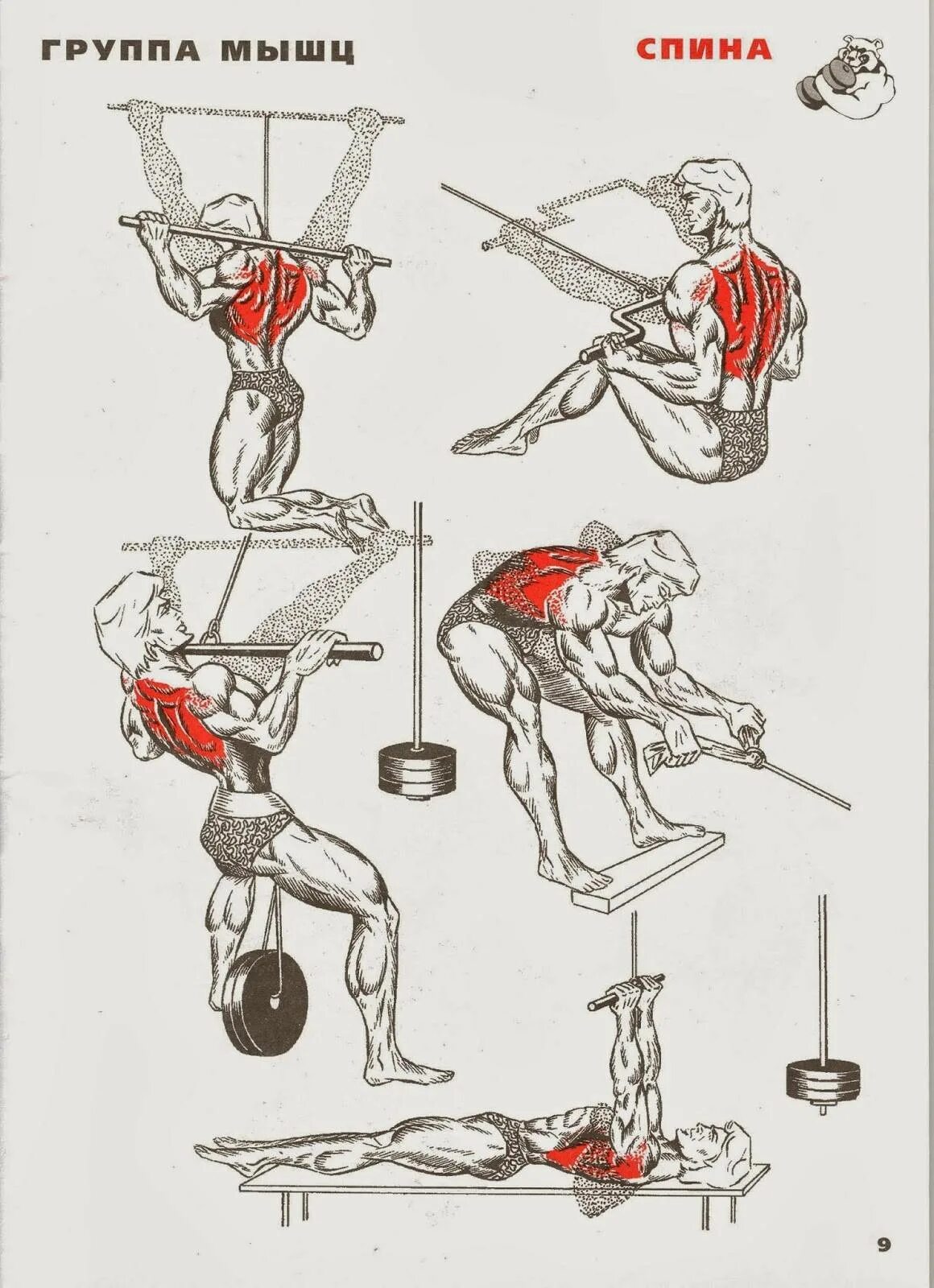 Упражнения для тренировки мышц спины в тренажерном зале. Упражнения для прокачки мышц спины. Базовые упражнения на спину в тренажерном зале. Упражнения на спину в тренажерном зале для мужчин.