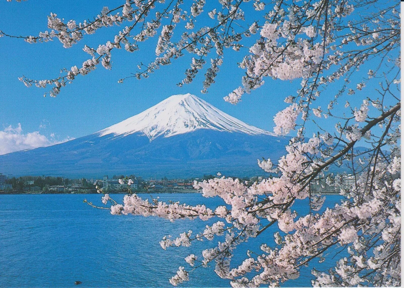 Фудзияма затон. Гора Фудзияма в Японии. Киото Фудзияма. Япония гора Фудзияма и Сакура. Токио вулкан Фудзияма.