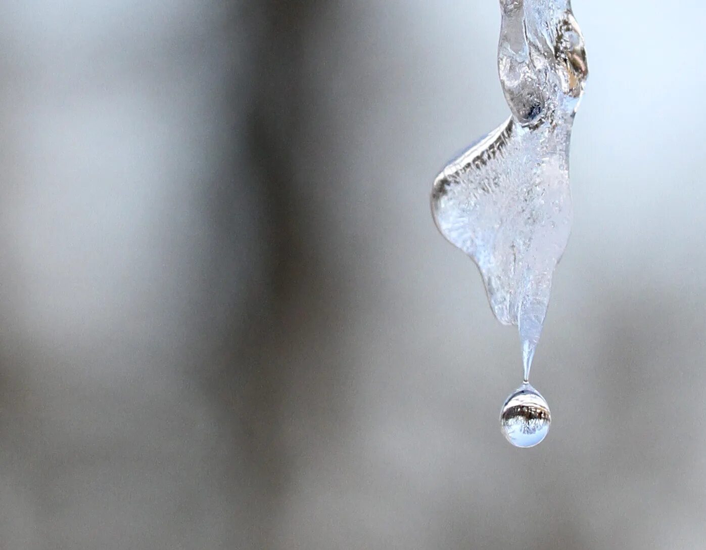 Звонкая капель стучит. Стучит капель. Liana droplet. Капель как отдает. External Wall Water droplets.