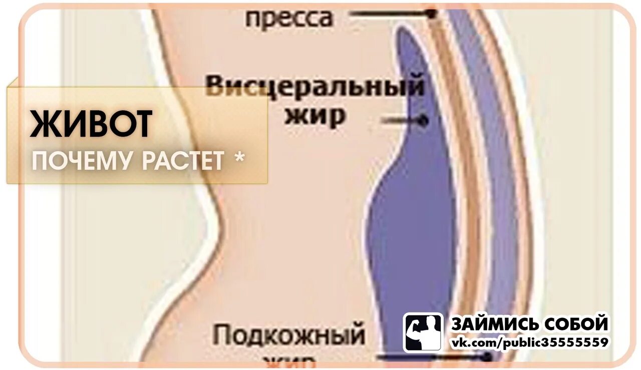 Живот увеличен в размерах. Растёт живот у женщин причины. жир на животе схема. жир на животе психосоматика.