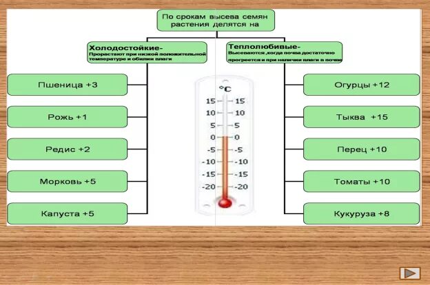 Условия прорастания семян 6 класс презентация. Условия прорастания семян. Условия прорастания семян таблица. Условия прорастания семян 6 класс. Условия прорастания семян 6 класс таблица.